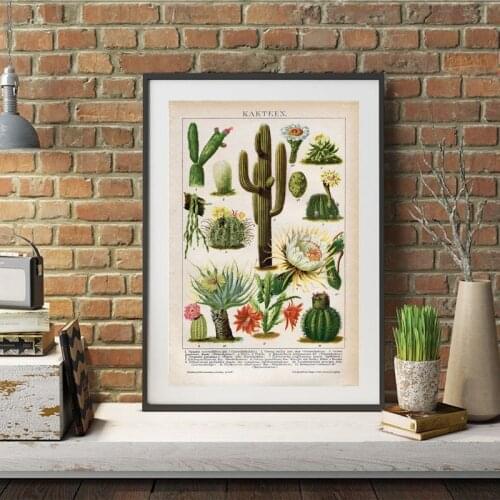 Cactus Flowers Desert Plants Succulents Posters and Prints Botanical Wall Art Educational Wall Pictures Decor Kraft paper poster