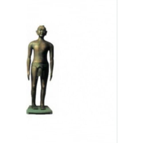 Chinese Acupuncture Model (Acupuncture Manikin) BIX-Y1001 WBW198