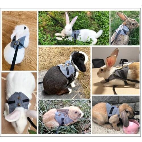 Multipurpose Rabbit Harness Small Pet Leash Chinchillas Hamster Groundhog Guinea Pig Vest Clothe Small Pets Supplies