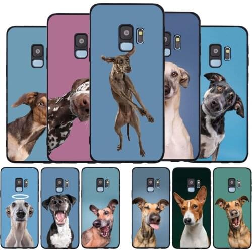 Cute funny dog Black TPU Silicone Soft Phone Case For Samsung Galaxy S20 S10 S9 S8 Plus Lite NOTE 10 9 8 S7 EDGE