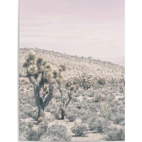 Home Decoration Scape Hd Print Pictures Cactus Wall Art Modular Mojave Desert Poster Canvas Painting For Living Room No Frame