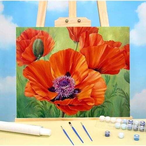 Poppy Flower Painting By Numbers Set Oil Paints 50*70 Canvas Pictures Home Decoration For Kids For Drawing Handiwork