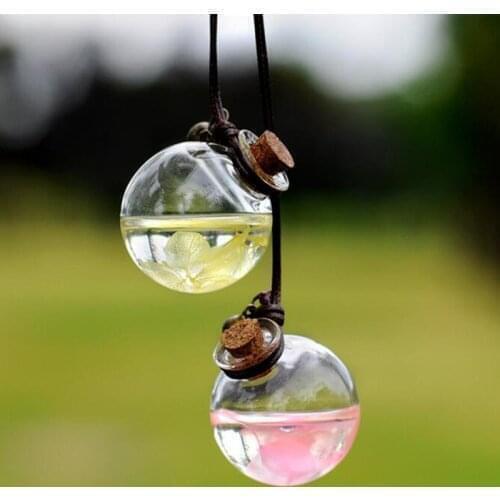 Car interior ornaments Perfume pendant Air Freshener for Citroen C3 C4 C5 DS3 DS4 DS5 DS6 C1 C2 C6 C8 Fiat 500 Saab Renault