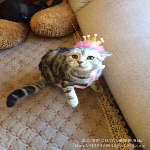 Decorative Ears Dog Cat Cat Hat Headband Headdress Pet Hair Accessories Lace Princess Bress Up