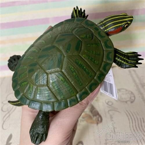 Pvc figure Brazilian tortoise, tortoise, simulation, animal model