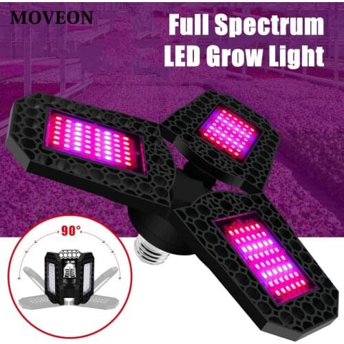 Moveon LED Plant Lamps