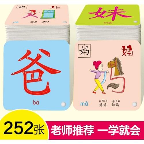 Chinese Kids Book Characters Cards Learn Chinese 202 Pcs/set with Pinyin Books for Kids Children/color/art Books Libro Age 2-5