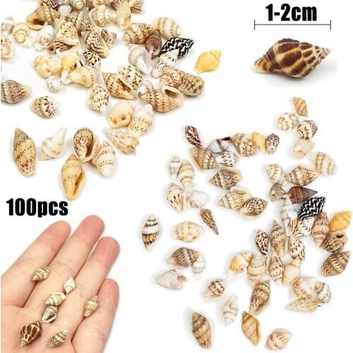 100pcs Small Sea Shells Assorted Natural Seashells Conch Crafts Diy Ornaments Shells & Starfishes Home Decoration
