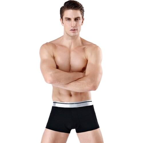 Ice Silk Summer Cotton Crotch Mens Boxer Pants Comfortable and Breathable Thin Youth Boxer Briefs