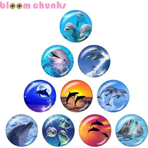 Dolphin animal 10pcs mixed 12mm/18mm/20mm/25mm Round photo glass cabochon demo flat back Making findings S1394