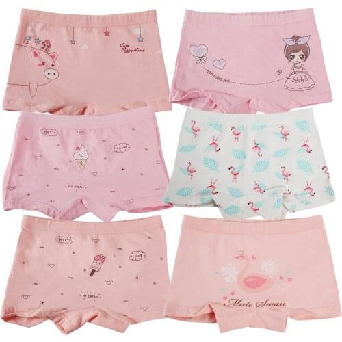 Amur Leopard Panties For Girls