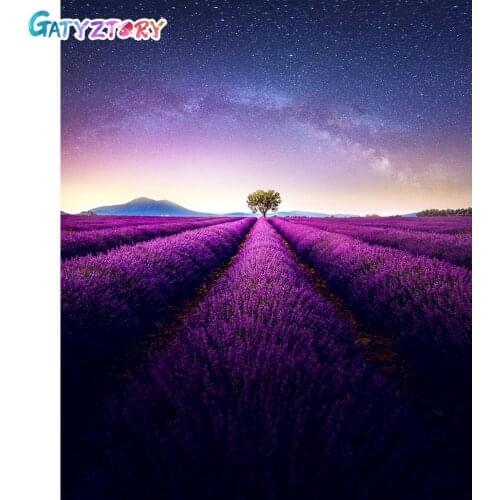 Gatyztory Painting By Numbers For Adults Lavender Canvas Painting Landscape Coloring By Numbers Decorative Frames Home Decor