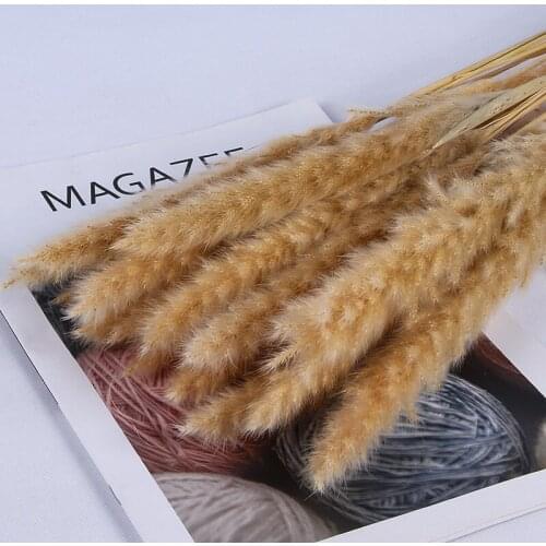 15pcs Dried Flower Bunch Natural Pampas Reed Grass Bouquet 45cm Wedding Home Decor Festive & Party Supplies