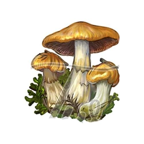 Mushrooms Metal Cutting Dies for DIY Scrapbooking Crafts Dies Cut Stencils Maker Photo Album Template Handmade Decoration Big