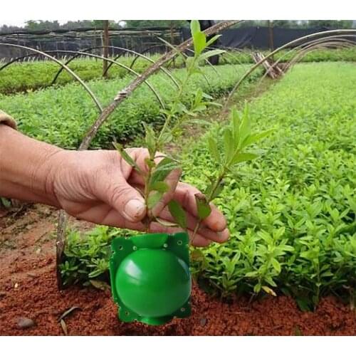 Products Essential Apparatus Plant Plastic Reusable Grafting Seed Garden Box Rooting