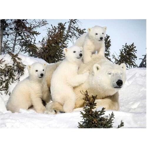 5D Diy Needlework Diamond Embroidery Polar Bear Diamond Painting Cross Stitch Full Square Round Mosaic Bedroom AdornmentZP-3410