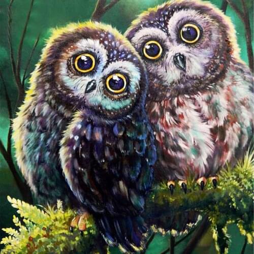 Round Full Diamond Painting Owl Handicrafts Rhinestone Art Diamond Embroidery Sale Animals Full Square Mosaic Home Decor Gift