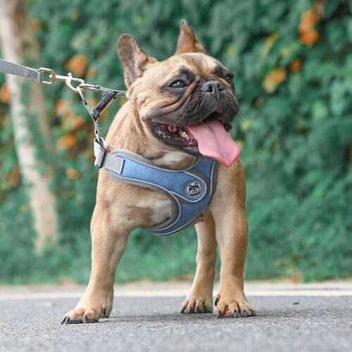 Dog harness Dog chest and back pet supplies new small and medium sized dog reflective anti break off vest dog traction rope