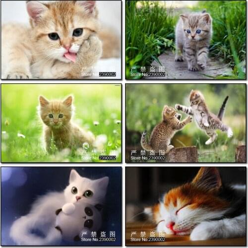 Animal Diamond Embroidery Diy 5d Diamond Cross-Stitch Kits Diamond Mosaic Diamond Painting Patchwork Flowers In The Cat