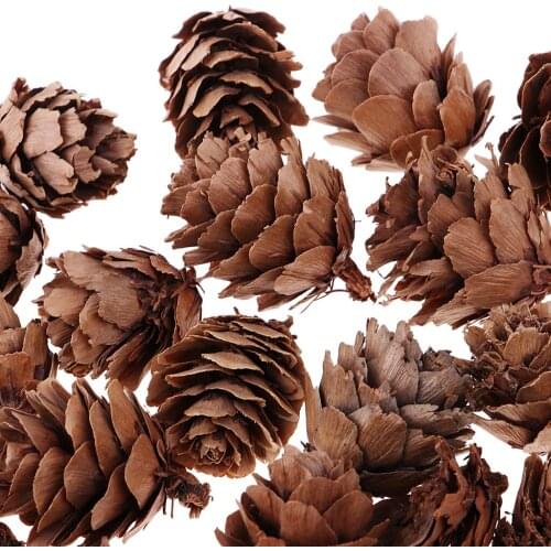 90pcs Mini Decorative Pinecone Pine Cones for Vase Bowl Filler