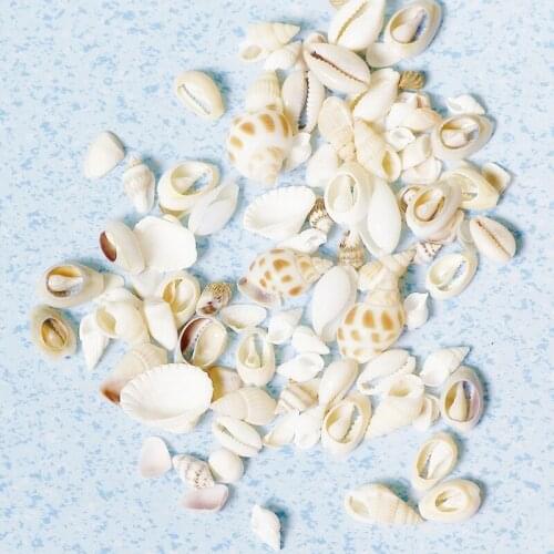 Natural Conch Shell DIY Handcraft Crystal Epoxy Filler Candle Pottery Craft Decoration Materials Practical Ornaments Accessories