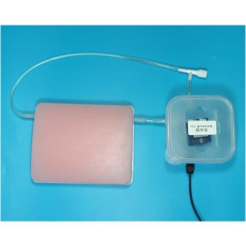 PICC B-interventional training Puncture module Ultrasound-guided vascular puncture model