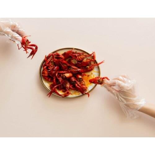 200PCS/Box Disposable PE Gloves Kitchen Accessories Restaurant BBQ Eco-friendly Fruit Vegetable Gloves Dinning Beauty Accessory