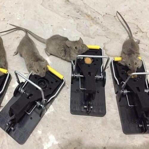 Trap Trap Rat 10Pcs Effective Catcher Mouse Traps Mouse Snap Mouse Professional Rodent Control