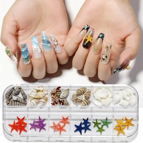 Natural Starfish Nail Decoration Conch Ocean Wind Irregular Slices Shells Rhinestone Nail Art Accessories Manicure Tools