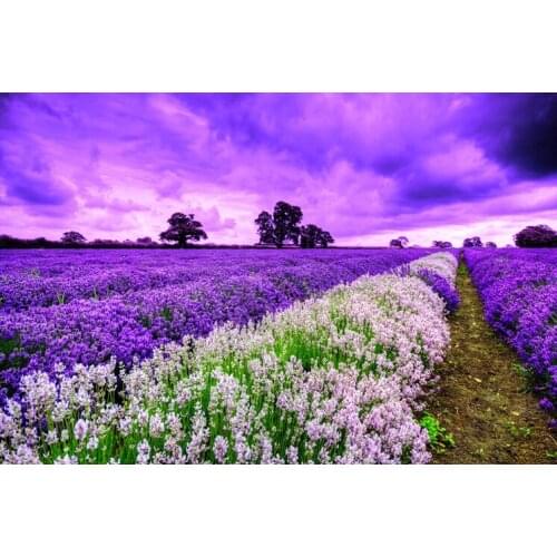 Lavender fields The wooden puzzle 1000 pieces ersion paper jigsaw puzzle white card adult childrens educational toys