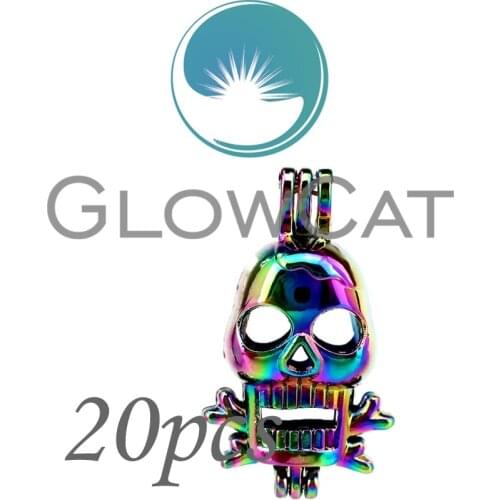 20x CC220 Rainbow Punk Skull Beads Cage Jewelry Making Essential Oil Diffuser Pearl Cage Locket Pendant