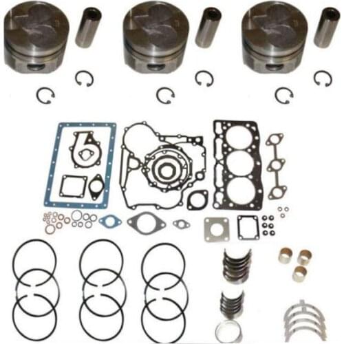 Overhaul Kit Fit for Kubota D1105 B2410HSE ZD28 F2400