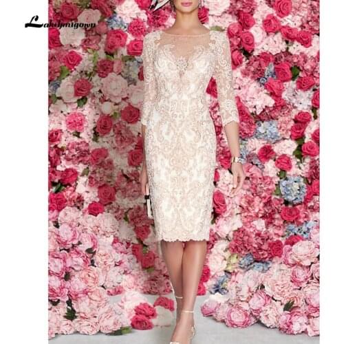 Sexy Plus Size Sheath/Column Mother of the Bride Dress See Through Bateau Neck Knee Length Lace 3/4 Length Sleeve with Pleats