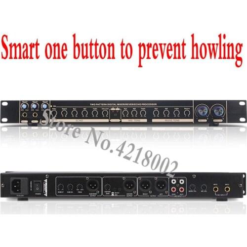 Professional Karaoke Audio Analog Microphone Mic Pre-level Reverberation Effect KTV Reverberation Vocal Antiwhistle
