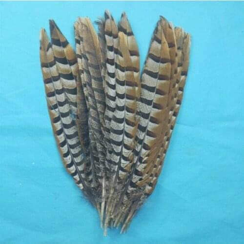 Wholesale! 100pcs perfect 12-14 inches/30-35 cm natural copper chicken feathers decoration diy collection stage performances