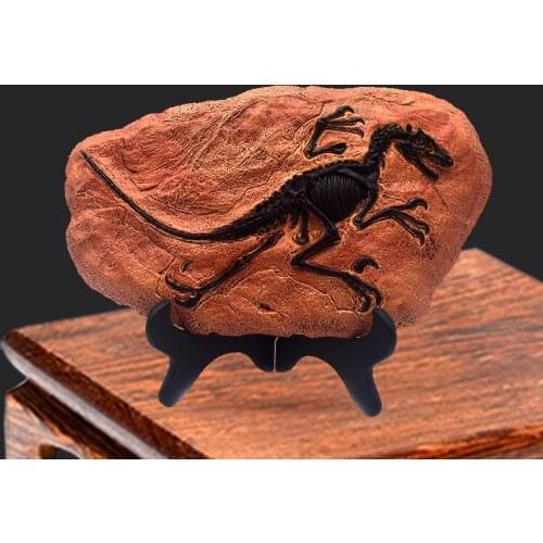 Resin Dinosaur Fossil Figurines Desk Home Decoration Accessories Dinosaur Skull Sculpture Room Ornament Home Decor