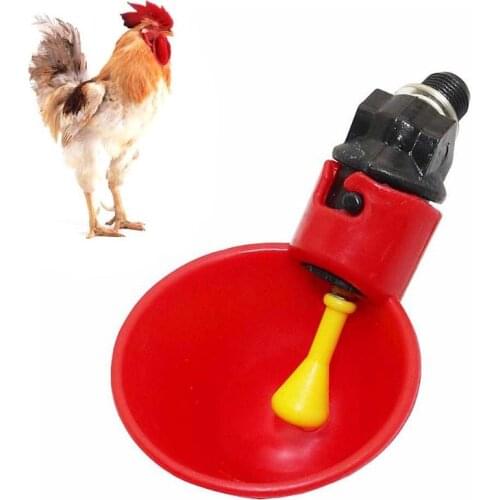 Automatic Chicken Water Drinking Cups Plastic Poultry Water Bowl Quail Chicken Drinking Chicken Fowl Drinker Breeding Equipment