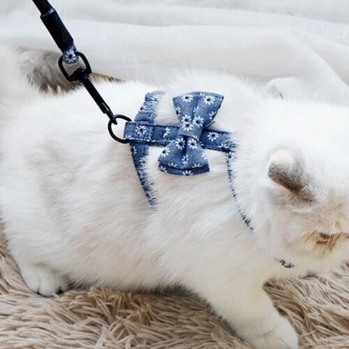 Legendog Cat Harness Pet Harness Leash Set Bowknot Escape Proof Cute Kitten Walking Leash Puppy Leash Outdoor Walk Leash