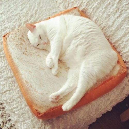 Creative Pet Mat Cat Dog Bed Washable Cushion Pillow Bread Toast Mattress Home Warm Animal