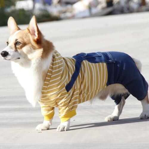 Welsh Corgi Dog Clothes Winter Dog Jumpsuit Stretch Dog Clothing Pomeranian Poodle Schnauzer Shiba Inu Costume Pet Outfit