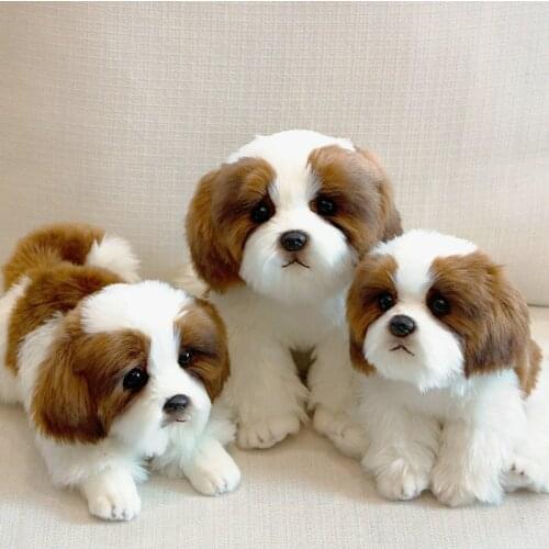 Plush Pomeranian Dog Doll Snow White Simulation Dog Stuffed Animal Toys Super Realistic Dog Toy for Pet Lovers Luxury Home Decor