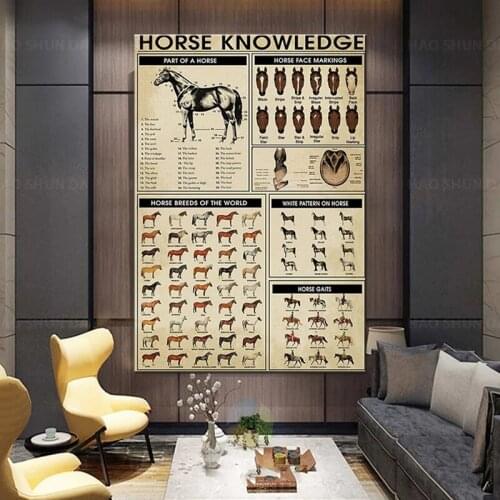 Horse Knowledge Poster Farmer Part Face Markings Breeds of The World Gaits Abstract Wall Art Vintage Motivational Canvas Poster