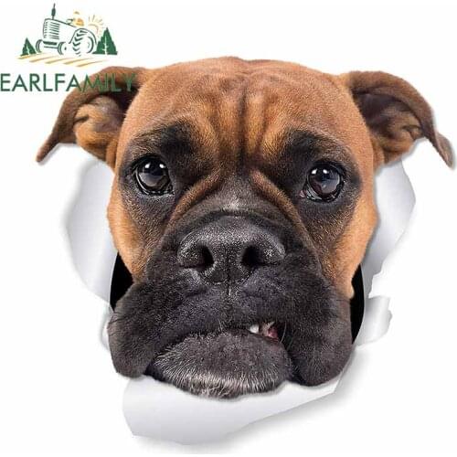 EARLFAMILY 13cm x 12.1cm For Boxer Dog Motorcycle Car Stickers Waterproof Decal Scratch-proof Decals Bumper Decoration