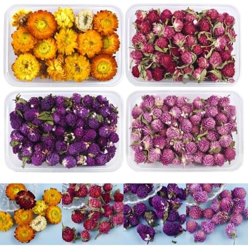 1 Box Dried Flowers Plants Chrysanthemums DIY Epoxy Resin Glue Flower Filling Decoration Crafts Jewelry Making Accessories