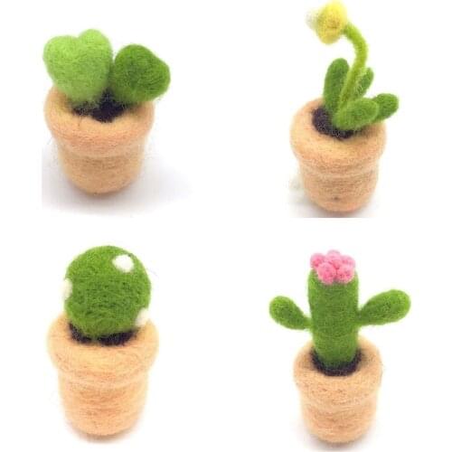 4 Pack Succulent Needle Felting Kits with 3 Felting Needles, English Manual, Foam Mat, Finger Guard, Enough Wool (A)