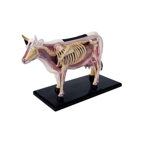 4D Animal Puzzle Cow Toys Animal Anatomical Models Detachable DIY Children Gifts Educational Tool School Used 26100