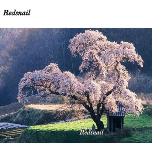 Full 5D Diy Diamond Painting flowerJapanese Cherry Blossom Tree 3D Diamond mosaic Rhinestone Diamond Embroidery scenery EE420