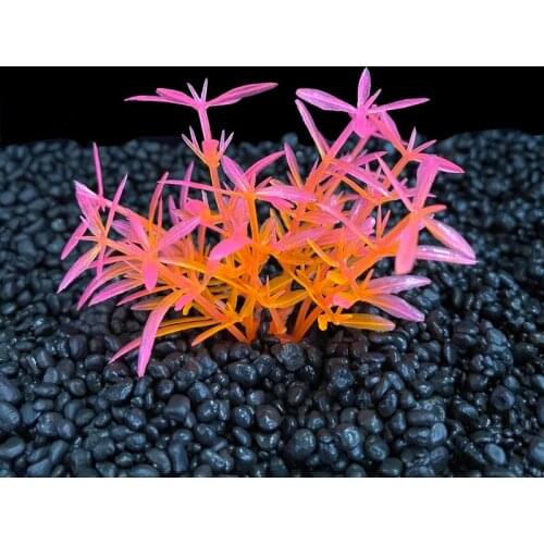 Simulation Artificial Plants Aquarium Decor Water Weeds Plastic Plant Water Weeds Fish Tank Grass Decoration Accessories