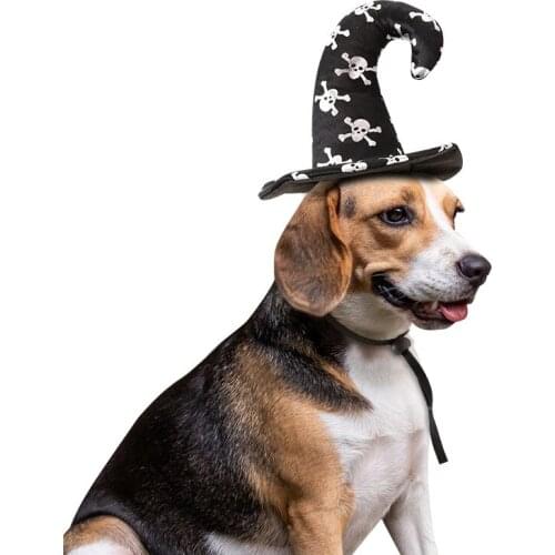 2019 New Pet Hat Halloween pet hat dog Cat turned into a witch hat