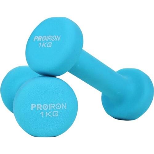 Gym Dumbbell Fitness Equipment Cast Iron Dumbbells for Fitness Barbell Gym Weight Loss Exercise Equipment Women Comprehensive